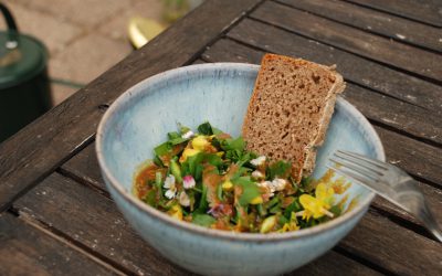 Wildkräutersalat mit selbstgebackenem Brot