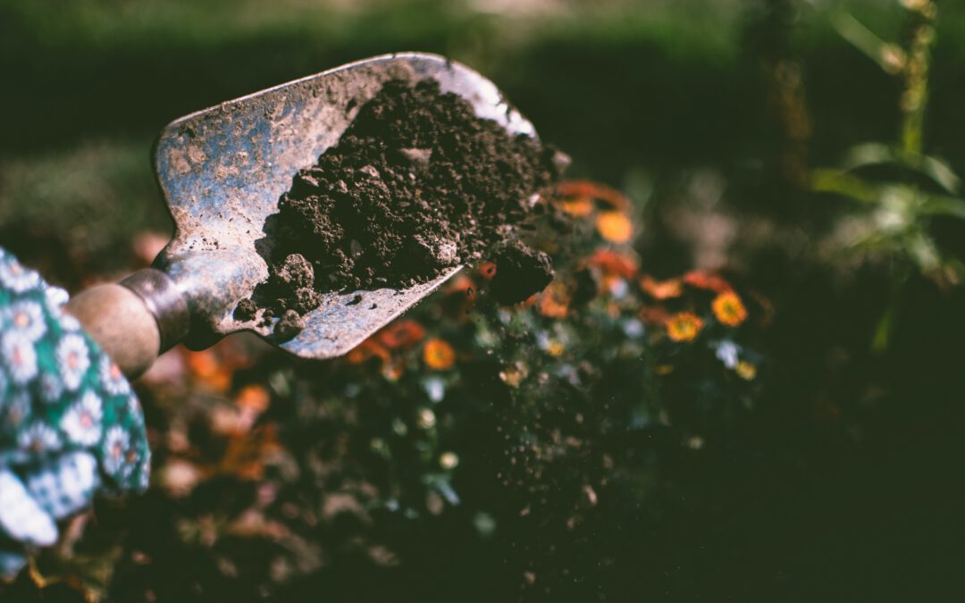 Kompostieren im eigenen Garten