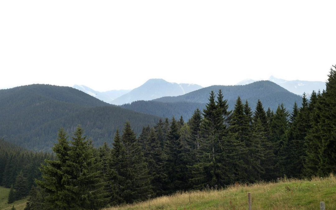 Klimaaktiv on Tour – Am 30.07. gemeinsam mit der Bahn in die Berge