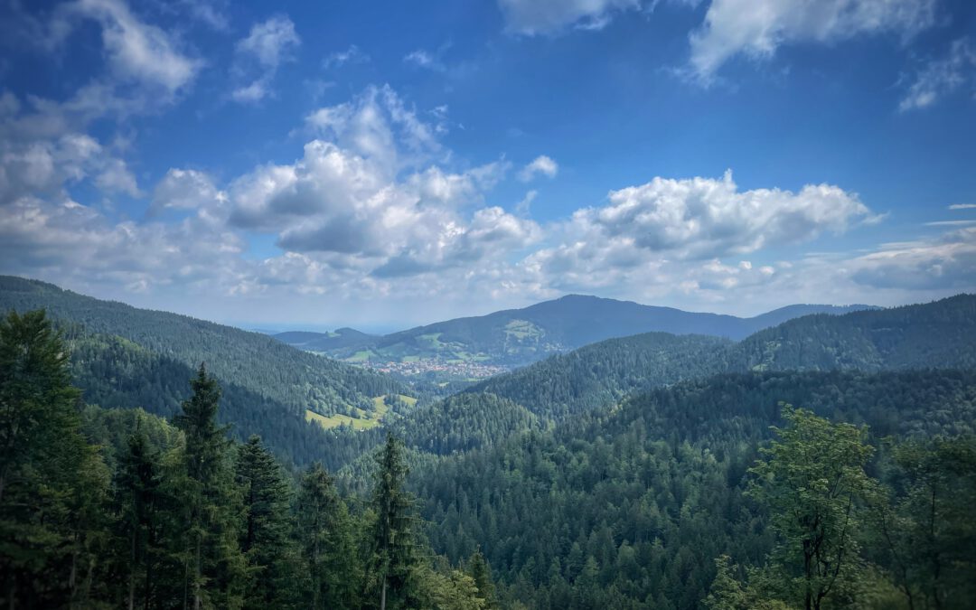 Mit der Bahn in die Berge – die neuen Touren!